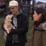 Rescued dog with couple